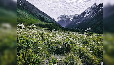 Uttarakhand’s Valley of Flowers all set to welcome travellers from June 1; all details here