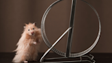 ‘Hamster Kombat’ Keeps Demanding More Friends—Enough Already - Decrypt