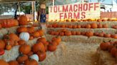 Here are the best pumpkin patches, corn mazes in Phoenix, around Arizona for Halloween 2022