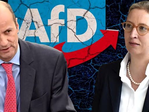 Nicolaus Fest attackiert AfD: „Unpatriotischer, halbsozialistischer Clanverbund“