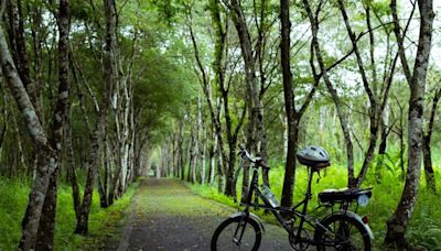 花東「徐行縱谷」自行車領騎培訓、玩騎認證、暑期優惠遊程陸續推出 - 財經