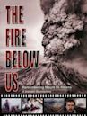 The Fire Below Us: Remembering Mount St. Helens