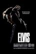 Elvis - El comienzo