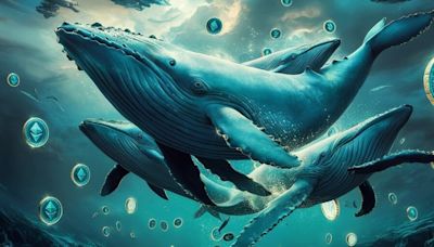 Ethereum ICO Era Whale Moves $24 Million to Kraken - Decrypt