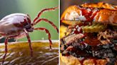 Tick bite to blame after Kansas man suffers near-fatal allergic reaction to barbecue sandwich