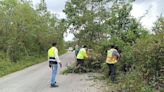 Estos son los tramos carreteros afectados por las lluvias