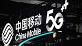 U.S. probing China Telecom, China Mobile over internet, cloud risks