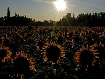 España enfrenta su 1ra. ola de calor del año