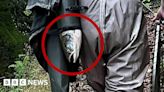 Fisherman fined for hiding salmon up sleeve in 'suspicious circumstances'