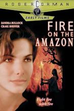 Fire on the Amazon