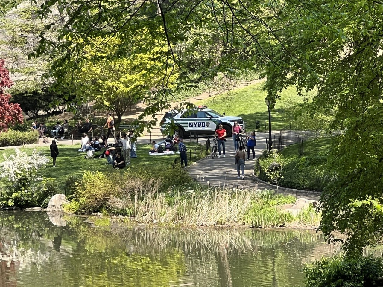 Monday incident adds to recent crime spree in Central Park: NYPD