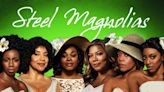 Steel Magnolias (2012) Streaming: Watch & Stream Online via AMC Plus