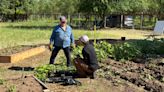 Butte County Local Food Network launches veterans community garden to blossom camaraderie
