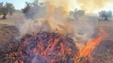 La Unió denuncia que la restricción de quemas convierte los campos en un "foco de incendio"