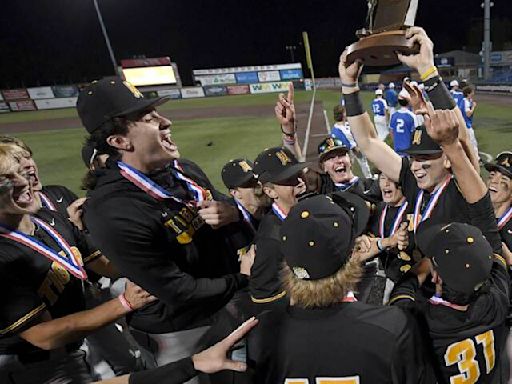 North Allegheny’s David Posey turns tables, no-hits Mt. Lebanon for WPIAL Class 6A baseball title | Trib HSSN