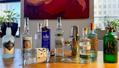 9 best gins, according to cocktail experts | CNN Underscored