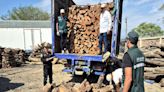 Piura: Serfor interviene cargamento ilegal de leña de algarrobo valorizado en S/10,000