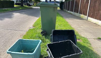 Green bin collection fee 'unfair and unaffordable'
