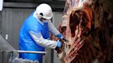 Rabobank pronostica que comenzará a contraerse la producción mundial de carne