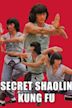 Secret of Shaolin Kung Fu