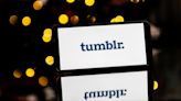 Tumblr's building a TikTok inspired feed in bid to grow its user base