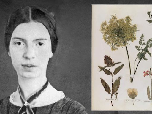 Emily Dickinson's Collection of Plants and Flowers Now Viewable Online for Free