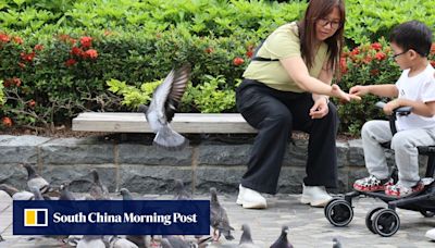 Hongkongers warned over touching wild birds amid possible H5 avian flu mutation