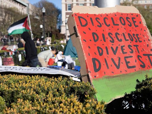 Campus protesters are demanding universities divest from Israel. Here's what that means.