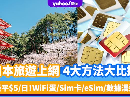 日本旅遊上網4大方法大比拼！每日最平$5起 WiFi蛋/Sim卡/eSim/數據漫遊推薦（內附網購優惠連結）