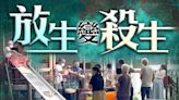 北角碼頭「滑梯」放生活動依舊 動物組織派傳單教尊重生命