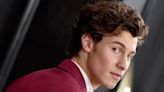 Shawn Mendes Is Postponing His Tour After Hitting A 'Breaking Point'