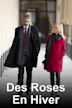 Des Roses En Hiver