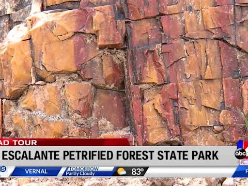 Escalante Petrified Forest State Park freezes geology in its tracks in Garfield County