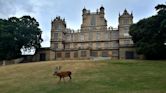 Wollaton