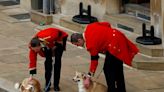 Queen Elizabeth’s last remaining corgis get festive outing with Sarah Ferguson