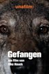 Gefangen