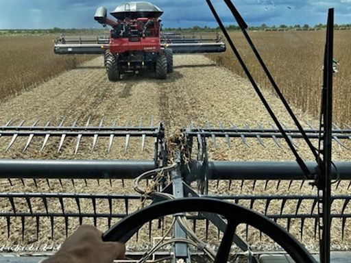 Negócios em leilões de máquinas agrícolas devem crescer 13%