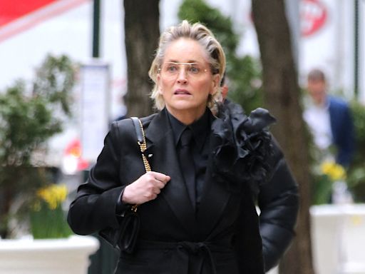 Sharon Stone, demandada por herir a una mujer en un accidente de coche y provocar daños de 35.000 dólares