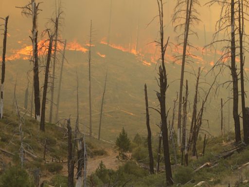 Falls fire destroys buildings in eastern Oregon; 10 other large wildfires burn throughout the state