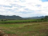 Hunter Valley wine