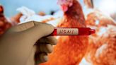 Colorado - Vierter Fall von Vogelgrippe beim Menschen in den USA nach Kontakt mit Milchkühen
