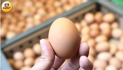 過期進口雞蛋該如何銷毀 農業部：官網會公告機制與進度