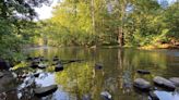 Guide to Ohio State Parks: Hike, Camp, Kayak, Climb, Learn and More on State Public Lands