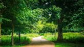 Russborough House’s popular lake walk gets stunning overhaul