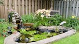 Pond Maintenance: An Easy Annual Schedule for Cleaning and More