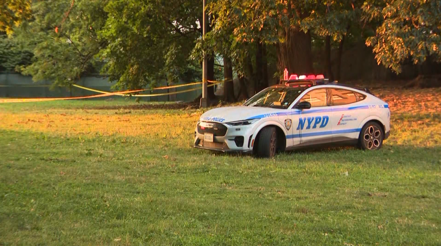 Son allegedly admitted why he killed mom at NYC park: police