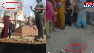 Delhi Girl Falls 6 Feet After Man Slaps Her Over Property Dispute, Police Launch Probe