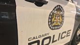 Teen charged in Boxing Day machete attacks at Calgary Zoo parking lot