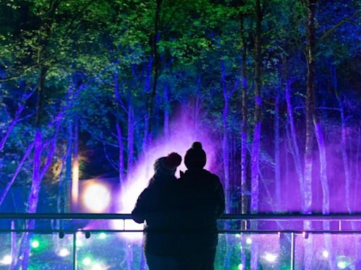 Study: Enchanted Forest 'brings millions to local economy'