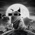 Frankenweenie